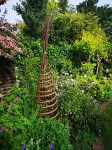 Sculptural Willow Garden Support