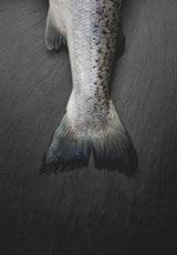 ARCHIVED EVENT (2019) - Salmon, Nose to Tail with Silla Bjerrum SOLD OUT