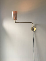 Horn & Brass Swing Arm Wall Light