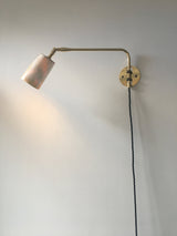 Horn & Brass Swing Arm Wall Light