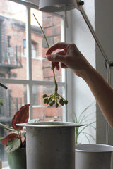 Waxed Linen Ikebana Workshop - by Wax Atelier *SOLD OUT*