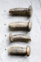 Solid Bronze Funghi - Alice Andrea Ewing