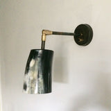 Horn & Brass Wall Light