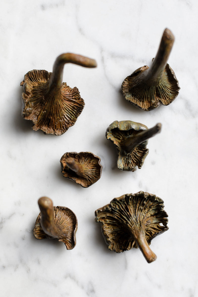 Solid Bronze Funghi - Alice Andrea Ewing