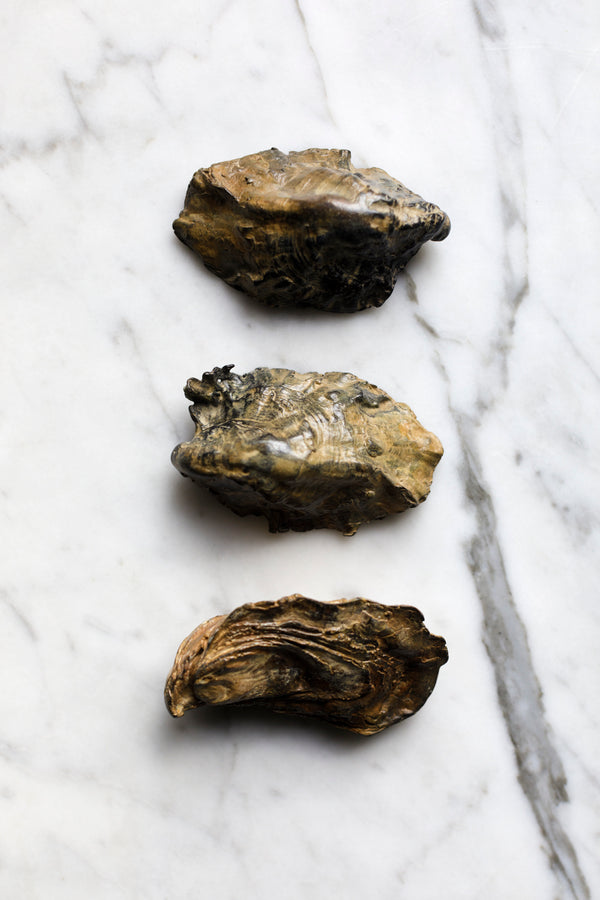 Solid Bronze Crustaceans and Mollusks- Alice Andrea Ewing