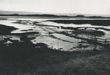 Black and white photograph of a marshy landscape with a small wooden bridge.