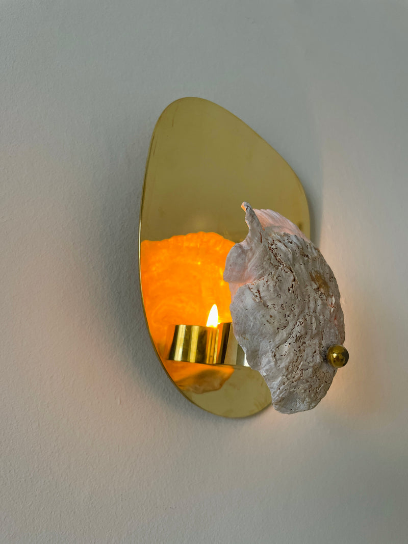 Norfolk Scallop Shell and Brass Wall Sconce - Charlotte Packe