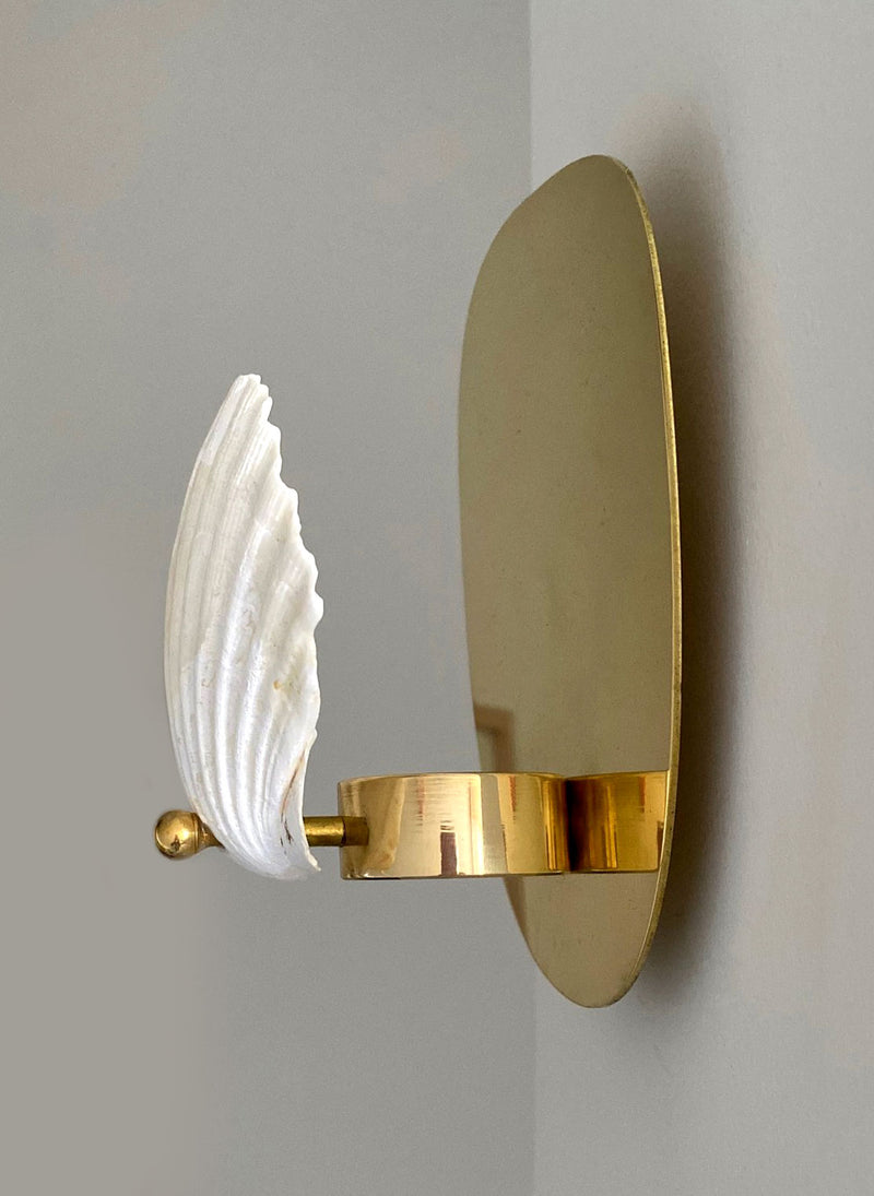 Scallop Shell and Brass Wall Sconce