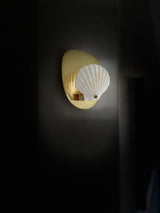 Scallop Shell and Brass Wall Sconce