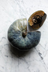 Solid Bronze Vegetables - Alice Andrea Ewing