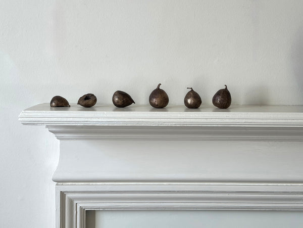 Bronze Brunswick Figs