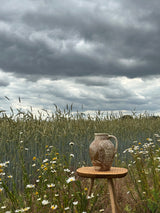 ‘Coronet of Roses‘ Harvest Jug