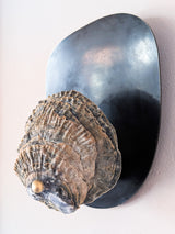 Norfolk Scallop Shell and Brass Wall Sconce