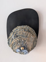 Norfolk Scallop Shell and Brass Wall Sconce