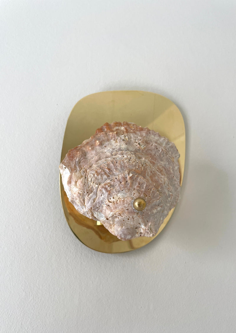 Norfolk Scallop Shell and Brass Wall Sconce