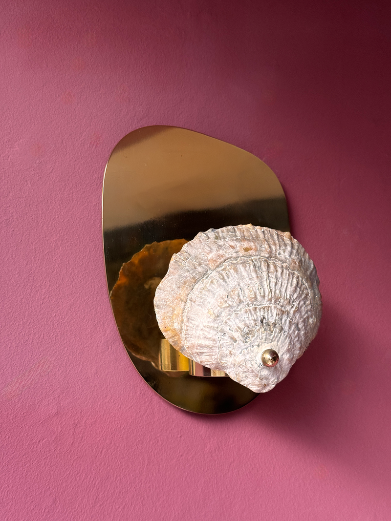 Norfolk Scallop Shell and Brass Wall Sconce - Patinated or Polished