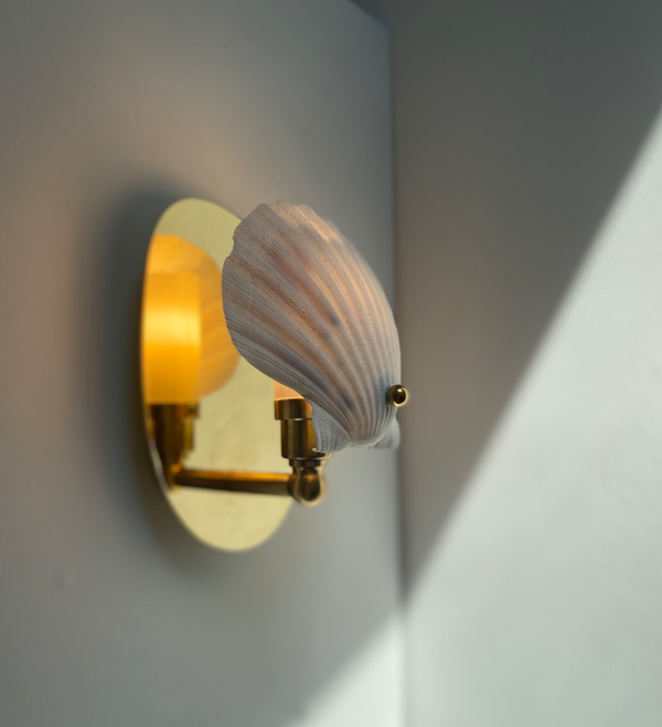 Scallop Shell Electric Sconce - Charlotte Packe