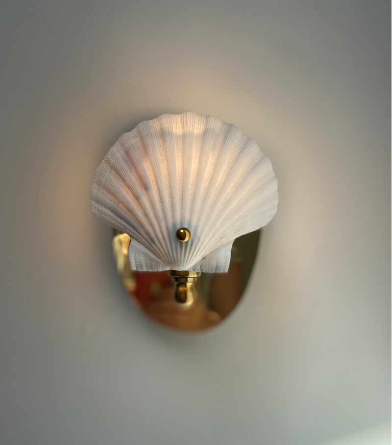 Scallop Shell Electric Sconce Charlotte Packe The Merchant s Table