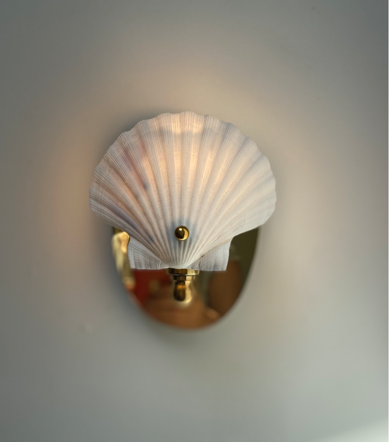 Scallop Shell Electric Sconce - Charlotte Packe