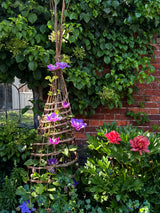 Sculptural Willow Garden Obelisk