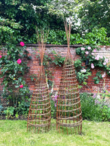 Sculptural Willow Garden Obelisk