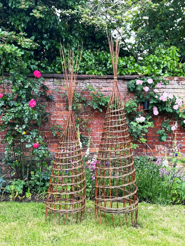 Sculptural Willow Garden Obelisk