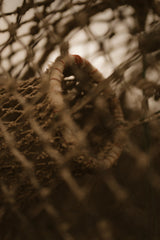 A close-up, artistic shot of a rustic woven basket or bag made from natural fibers, viewed through a blurred chain-link fence. The image has a heavy sepia filter, creating a warm, earthy color palette of browns and tans.