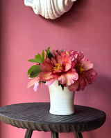 Porcelain Utensil Jars