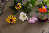 Late Summer Botanical Bas-Relief