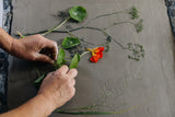 Late Summer Botanical Bas-Relief