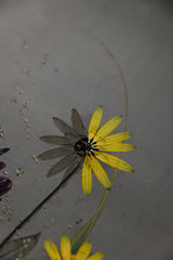 Late Summer Botanical Bas-Relief