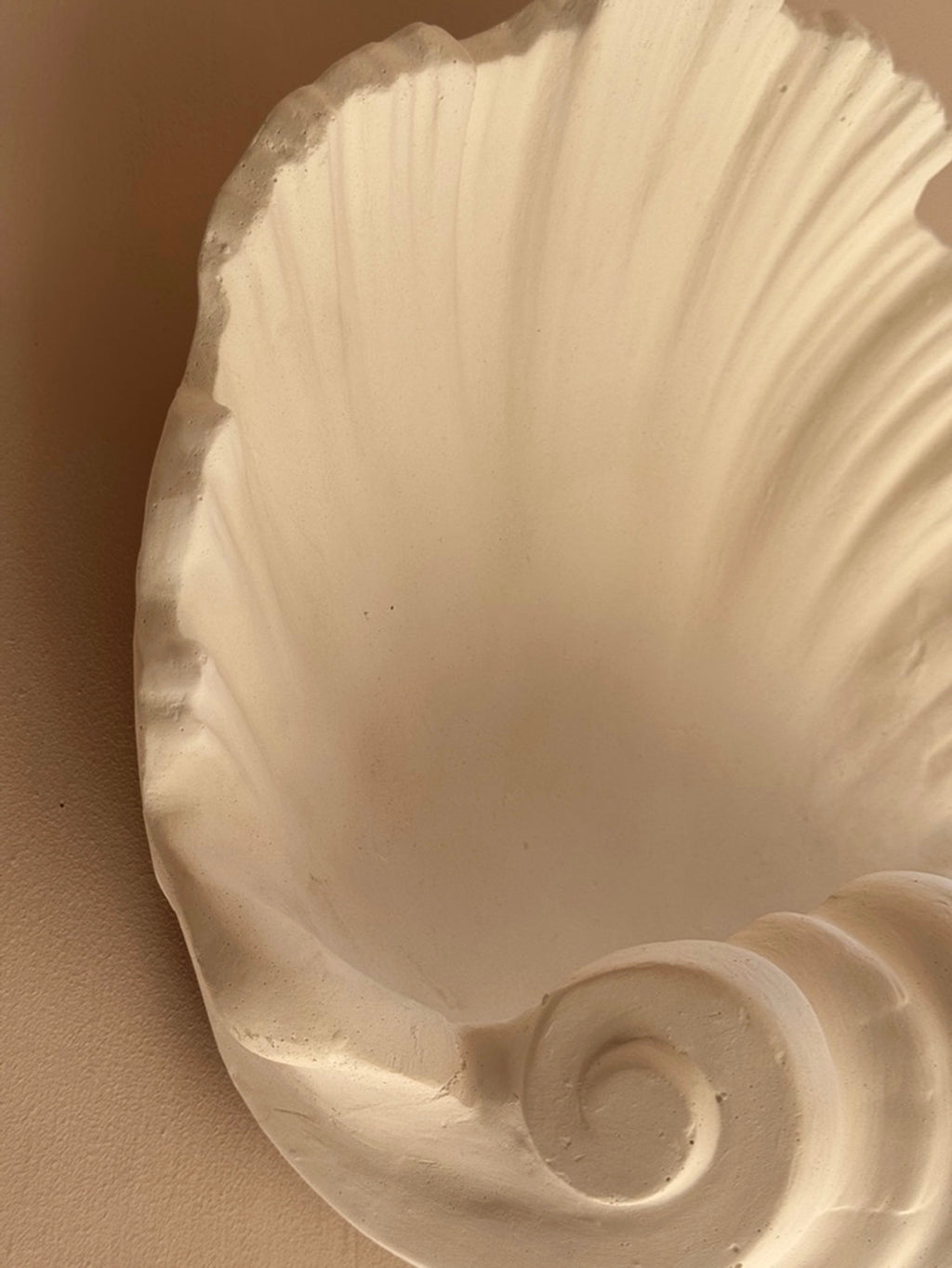 Shell Wall Plaster Scallop Shell Plaster Wall Lights – The Merchant's Table