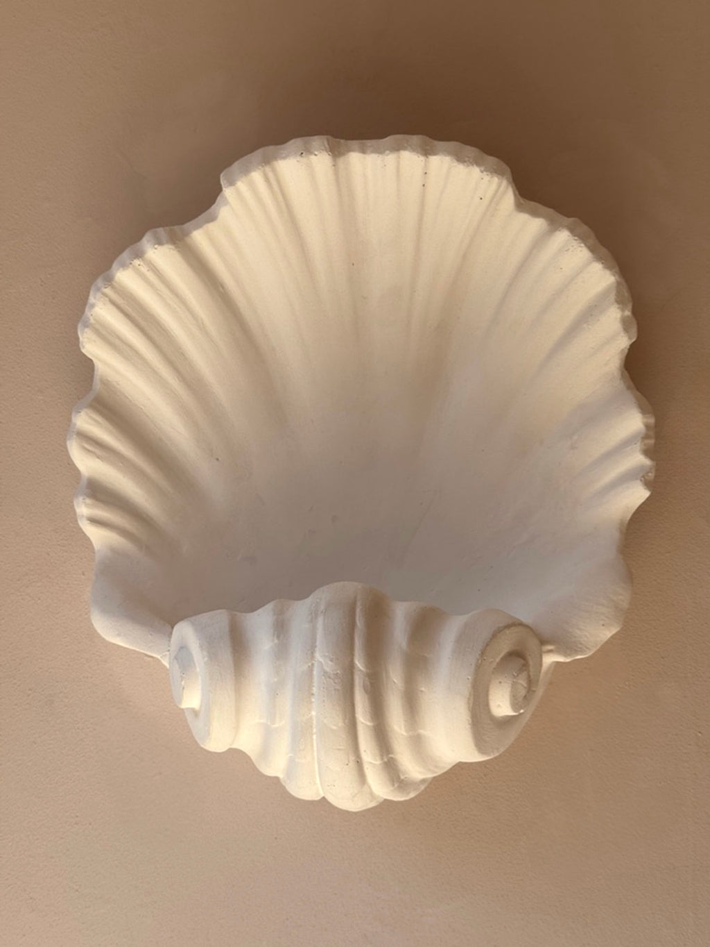 Shell Wall Plaster Scallop Shell Plaster Wall Lights – The Merchant's Table