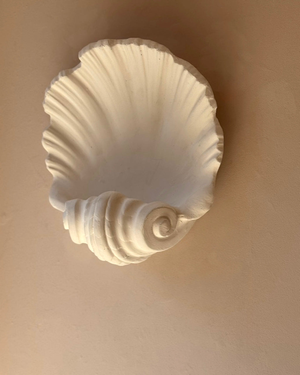 Shell Wall Plaster Scallop Shell Plaster Wall Lights – The Merchant's Table