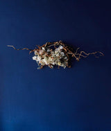 Frost Dried Flower Sculpture - Olga Skavos