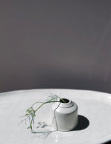 Porcelain Bud Vases