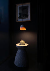 Faceted Porcelain Pendant Lamp - Steven James Will