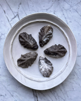 Smoked Fired Porcelain Shells