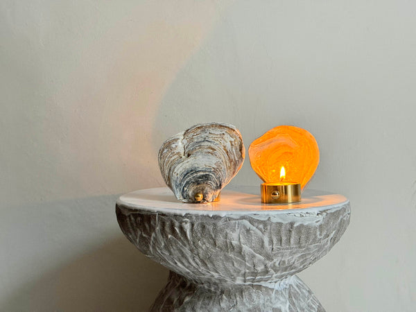 Norfolk Shell and Brass Tealight