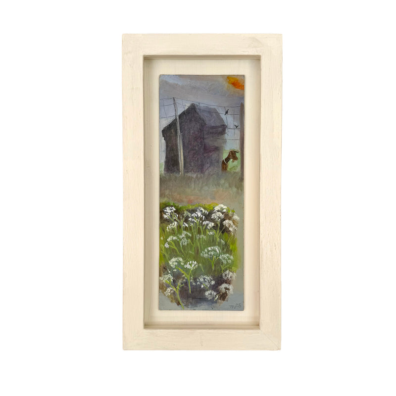 Goat and Cow Parsley