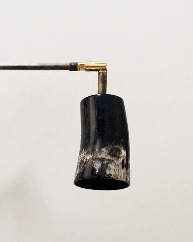 Horn & Brass Wall Light