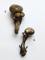 Bronze Mushrooms