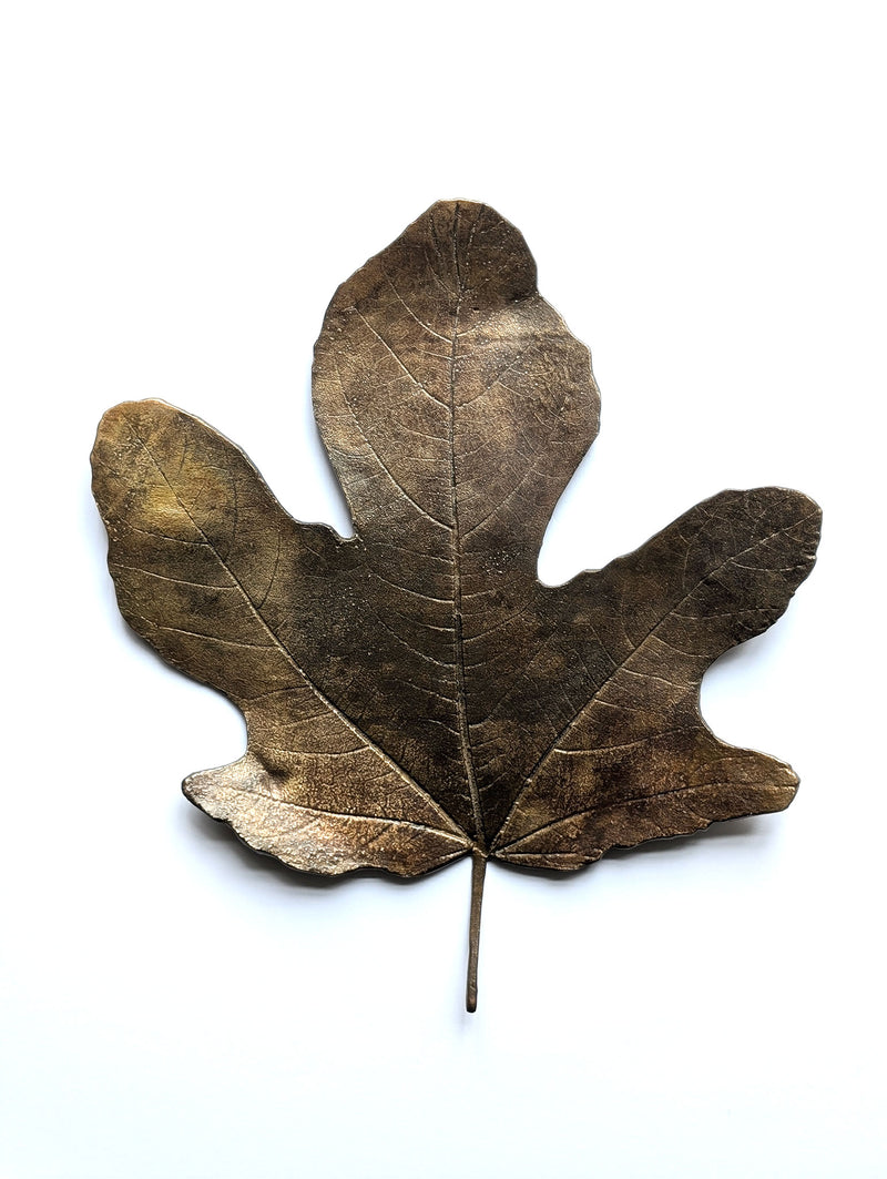 Bronze Fig Leaves