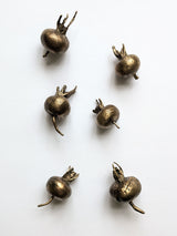 Bronze Giant Rosehips