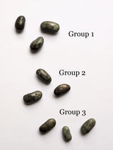 Bronze Magic Beans