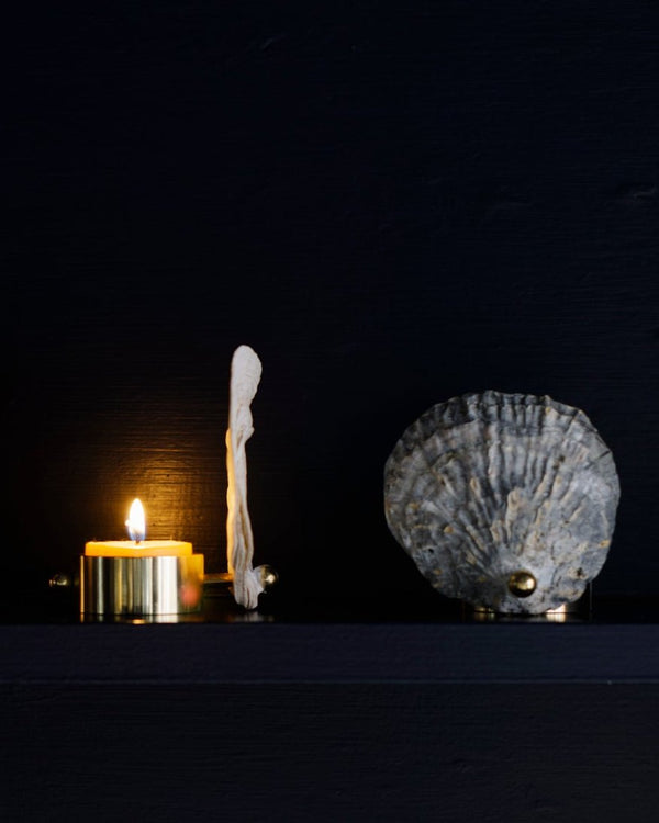 Norfolk Shell and Brass Tealight