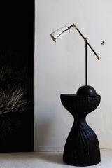 Horn & Brass Table Lamp - Charlotte Packe