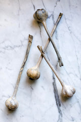 Solid Bronze Vegetables - Alice Andrea Ewing