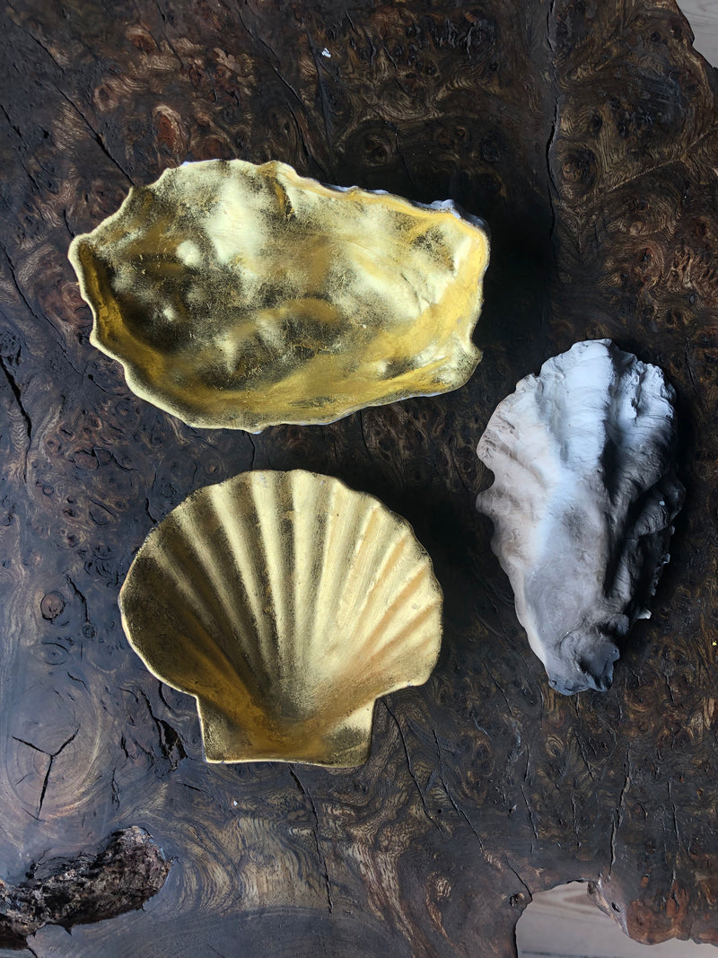Porcelain Shells with Gold Gilding - Steven James Will
