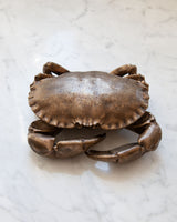 ‘Raw’ Bronze West Coast Brown Crab
